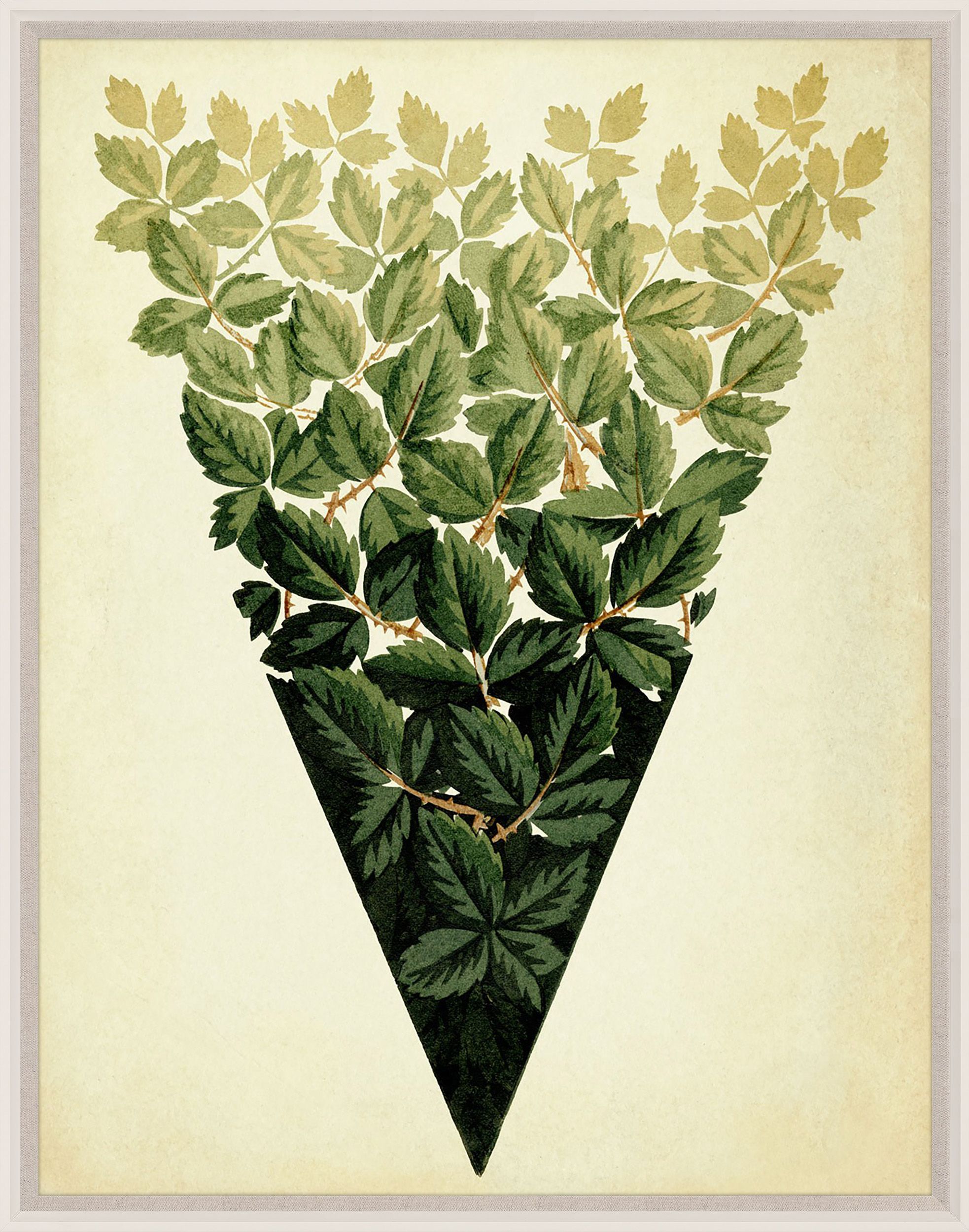 Natural Curiosities Pignier Lyon Art