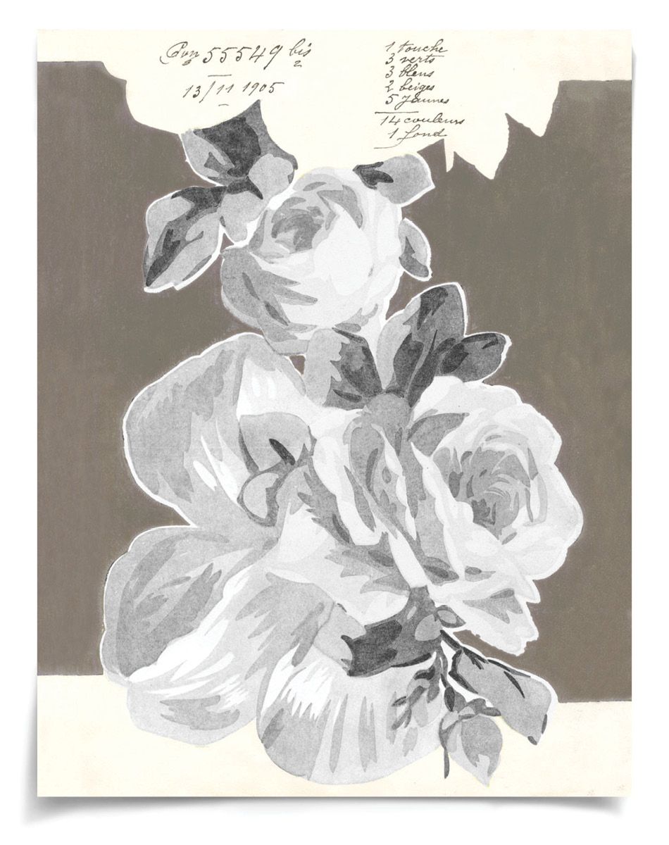 Natural Curiosities Pignier Nantes Art