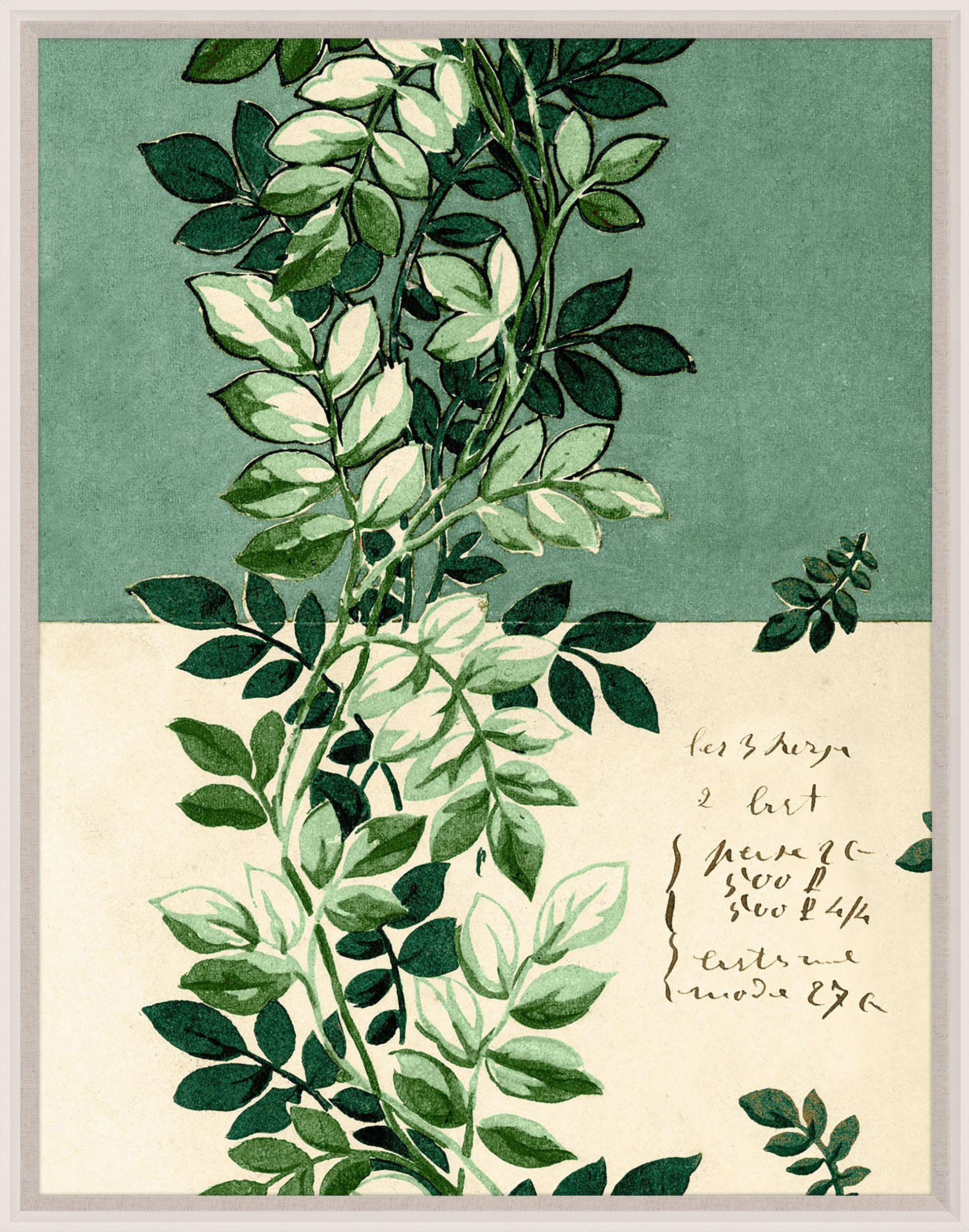 Natural Curiosities Pignier Trellis Artwork