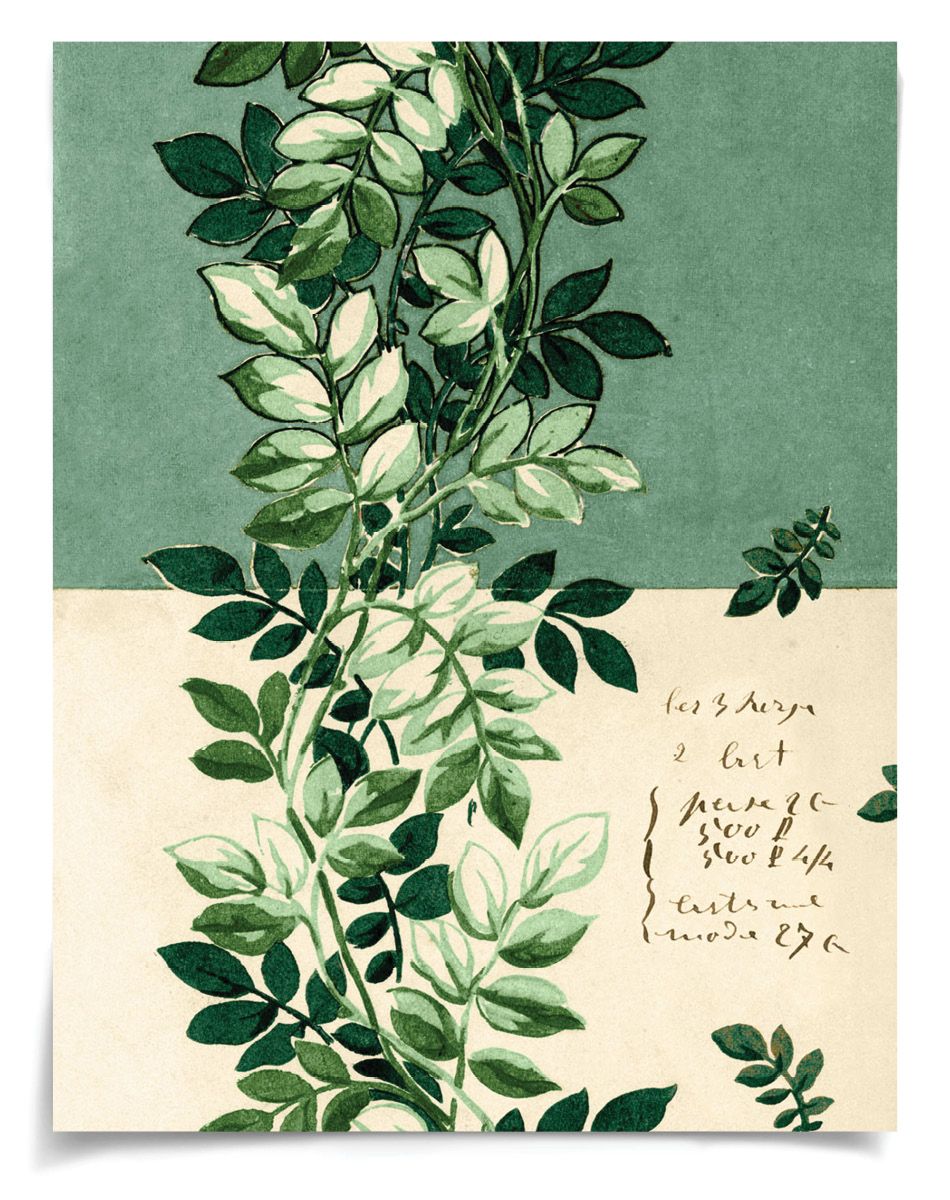 Natural Curiosities Pignier Trellis Artwork