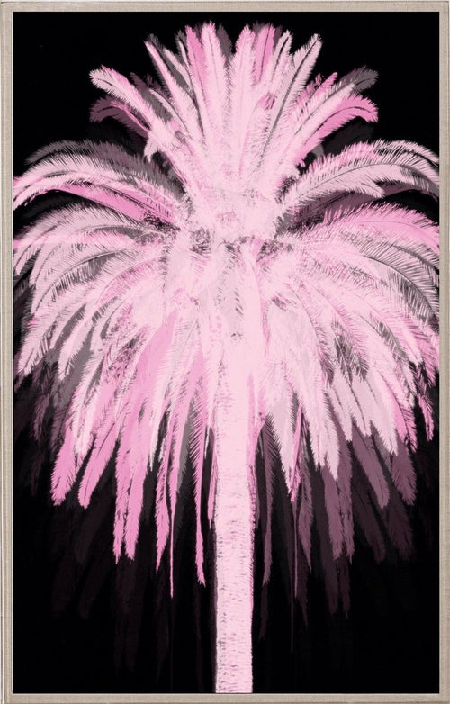 Natural Curiosities Pink and Black Palm Art