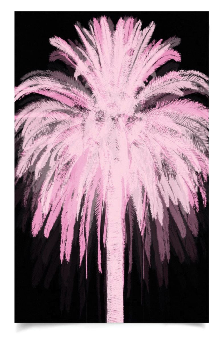 Natural Curiosities Pink Palms Art