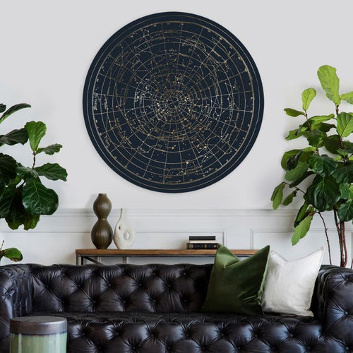 Natural Curiosities Planisphere Art in Gold and Black