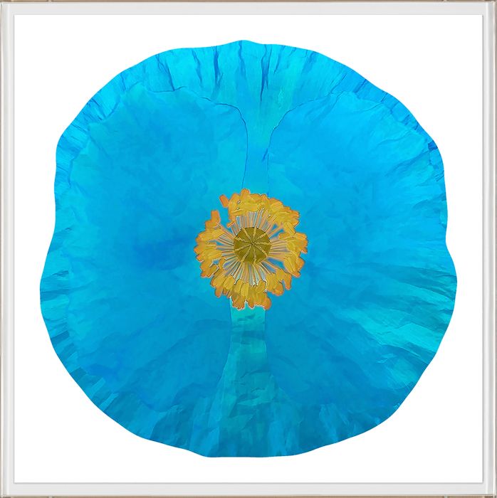 Natural Curiosities Poppy Fields Art