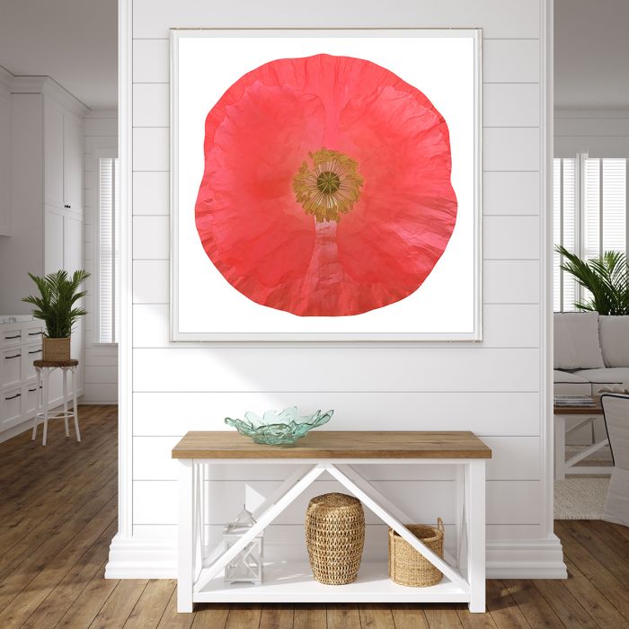 Natural Curiosities Poppy Fields Art