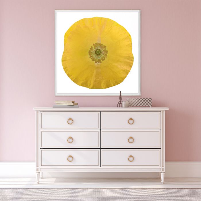 Natural Curiosities Poppy Fields Art