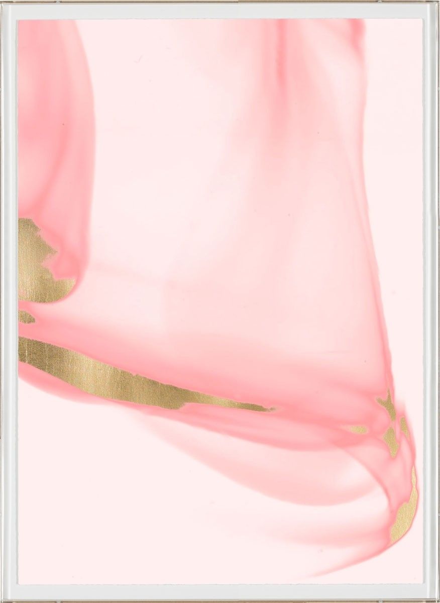 Natural Curiosities Prairie Triptych in Pink 1