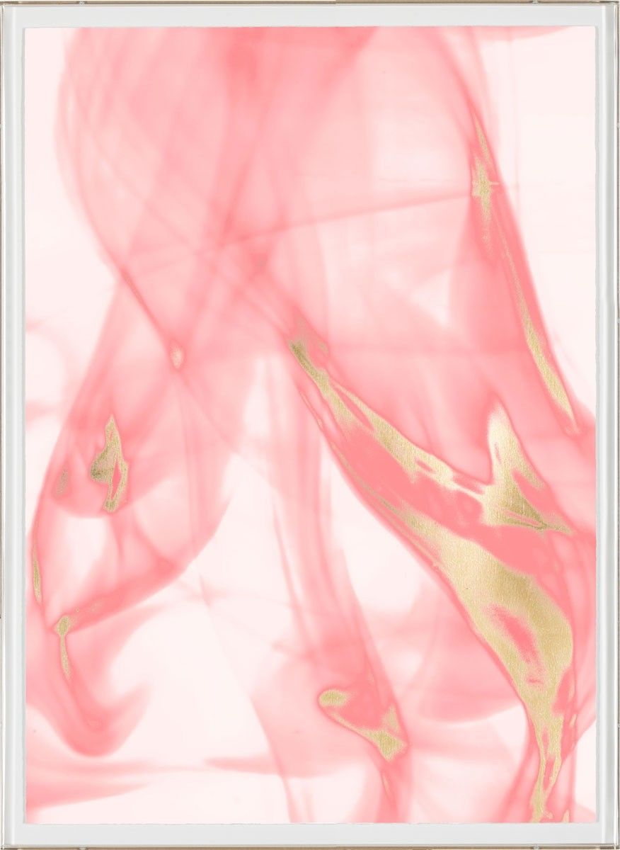 Natural Curiosities Prairie in Pink No. 2 Art