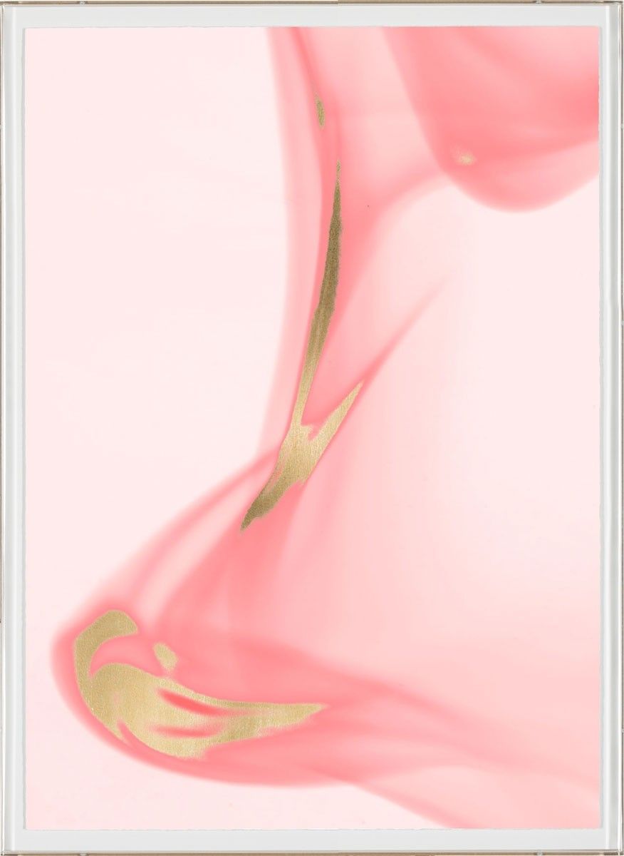 Natural Curiosities Prairie in Pink Art No. 3