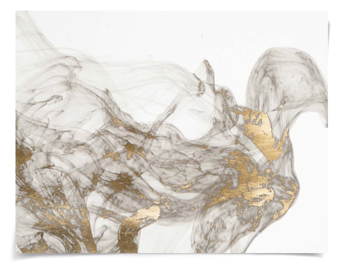 Prairie Winds Photographic Art by Natural Curiosities