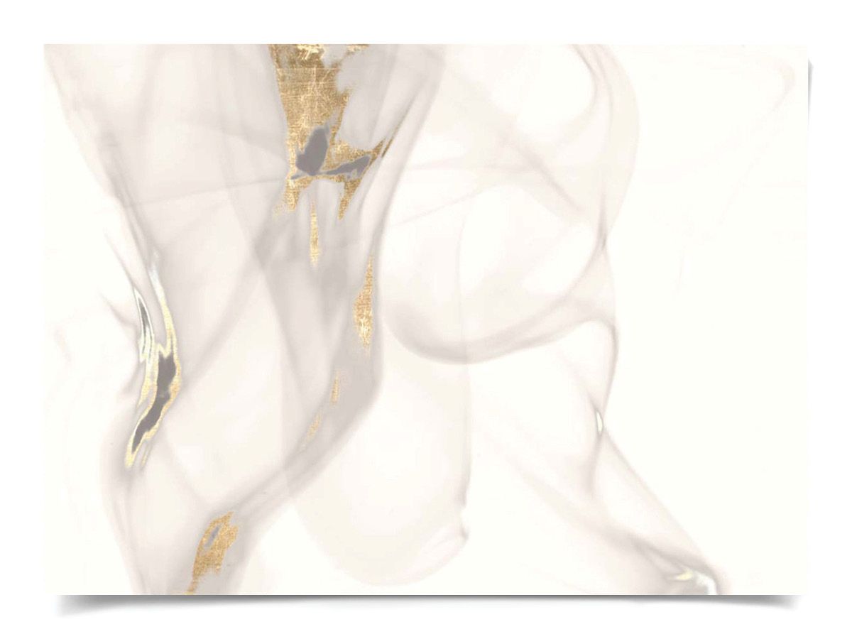 Natural Curiosities Prairie Winds Art