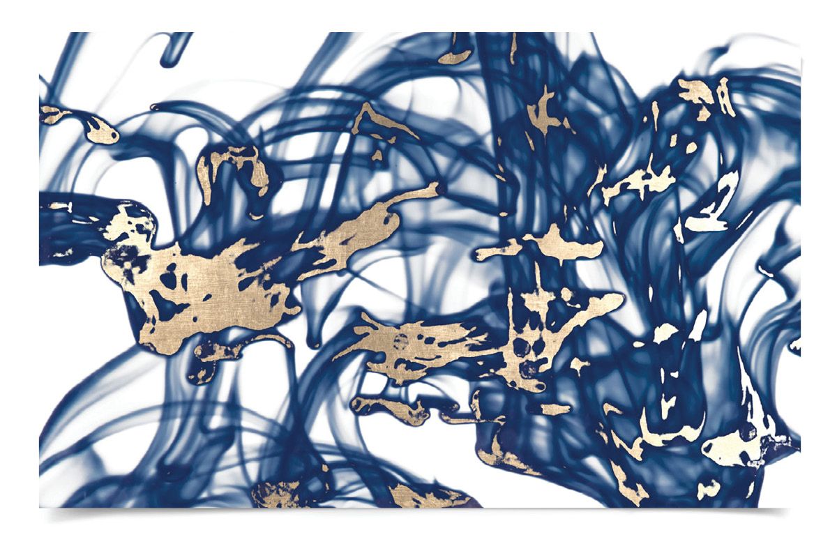 Prairie Winds 3 Artwork by Natural Curiosities