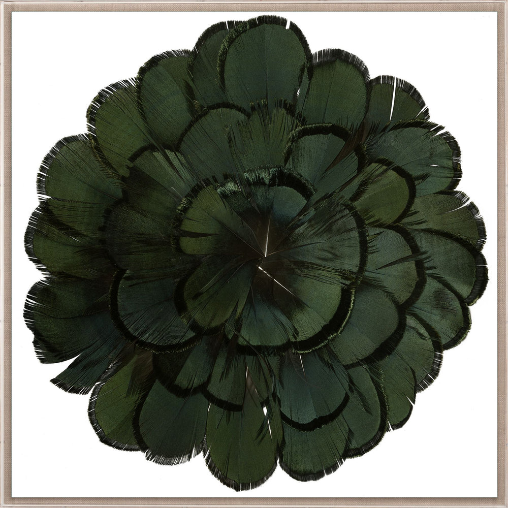 Natural Curiosities Queen Victoria Feathers 3 Art, Green