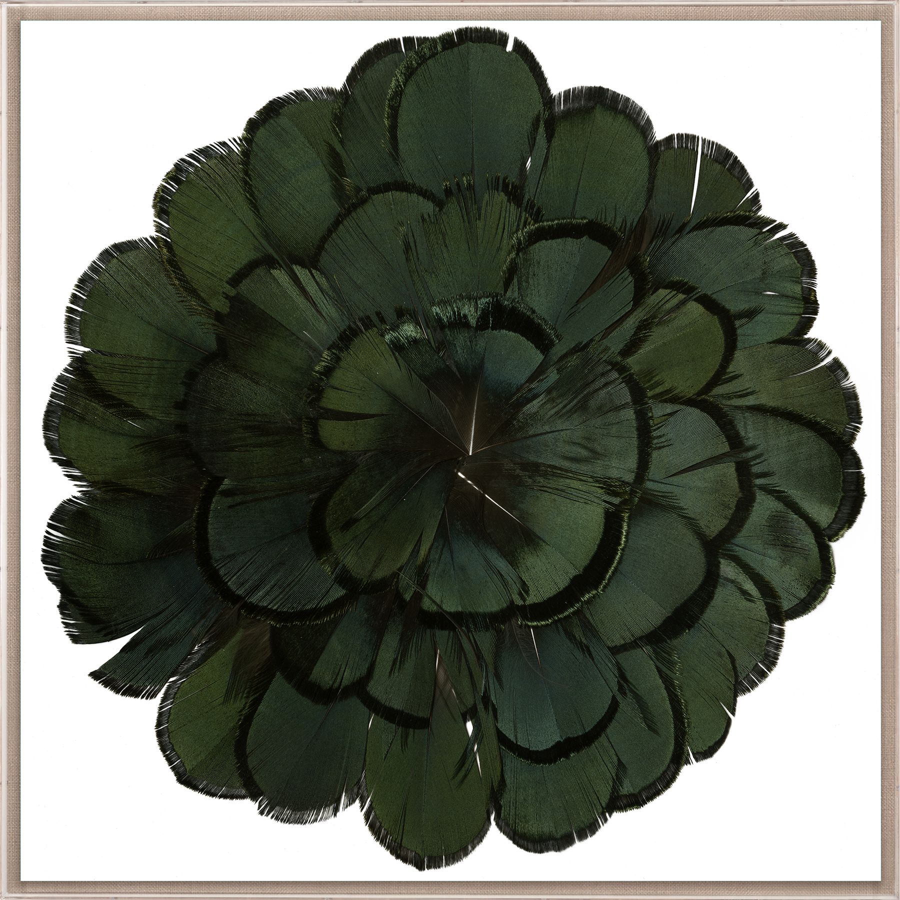 Natural Curiosities Queen Victoria Feathers 3 Art, Green