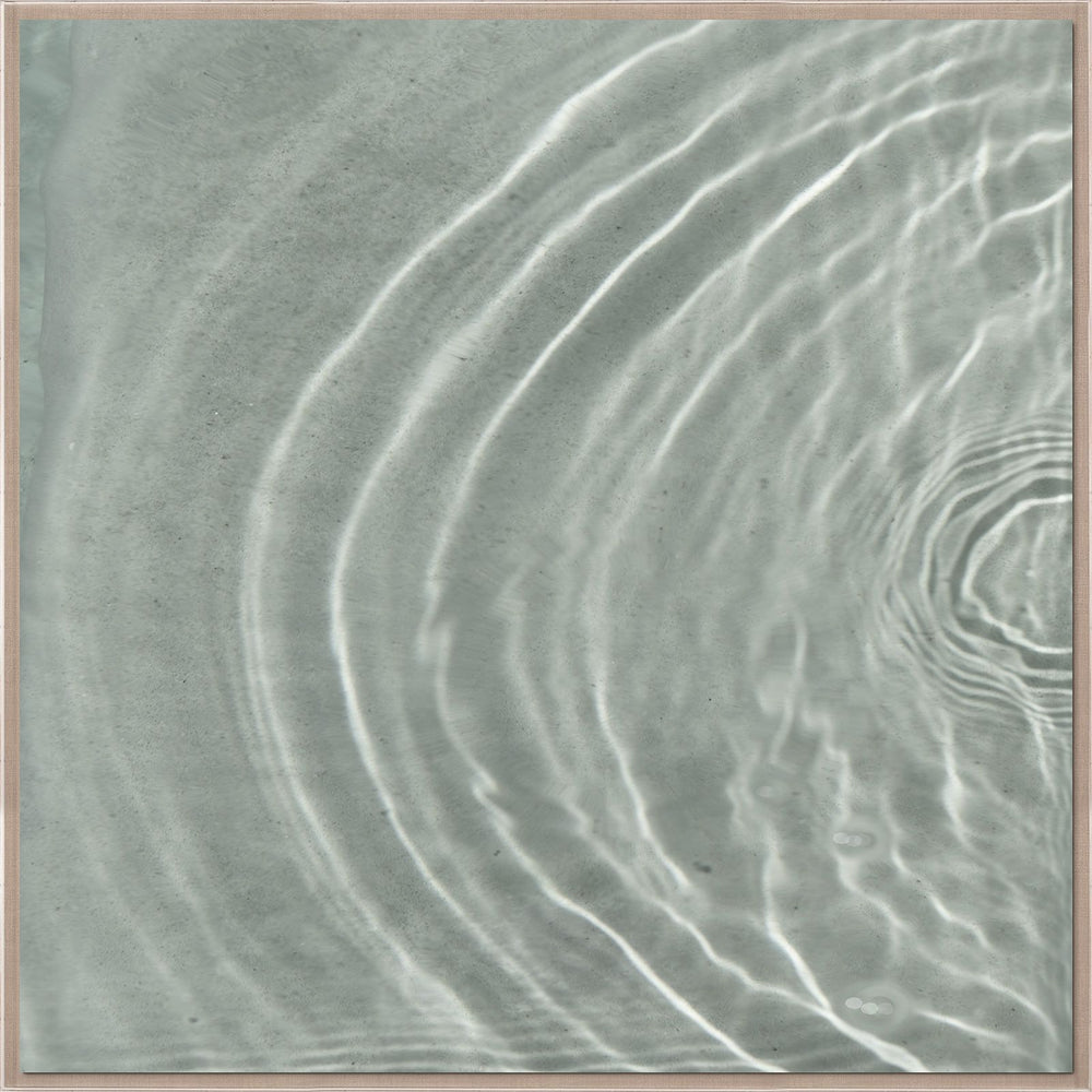 Natural Curiosities Ripple Diptych 1 Art