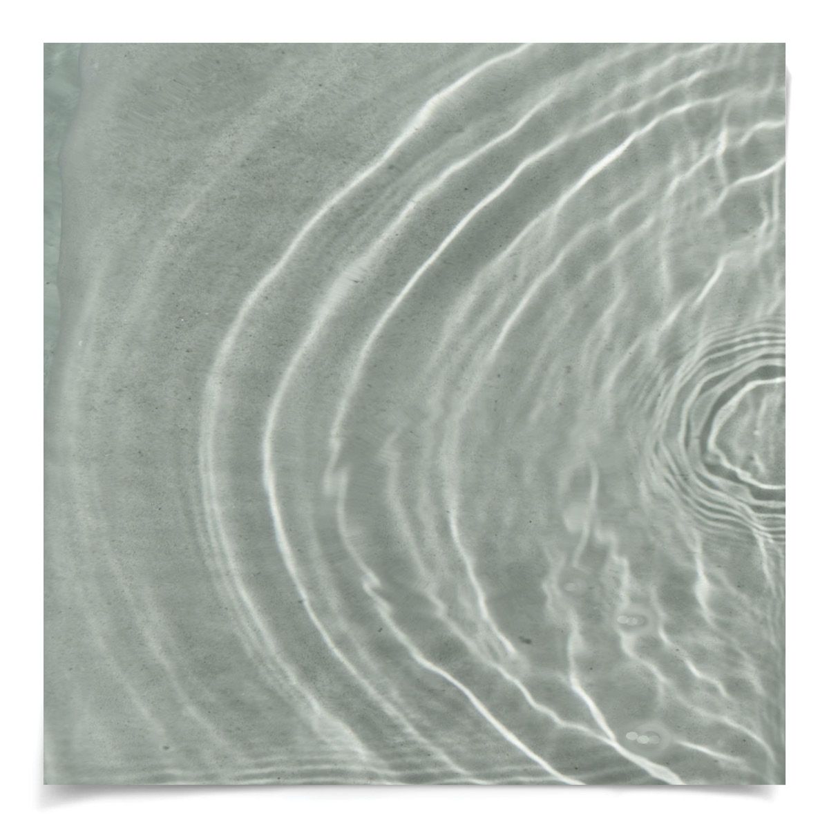 Natural Curiosities Ripple Diptych 1 Art