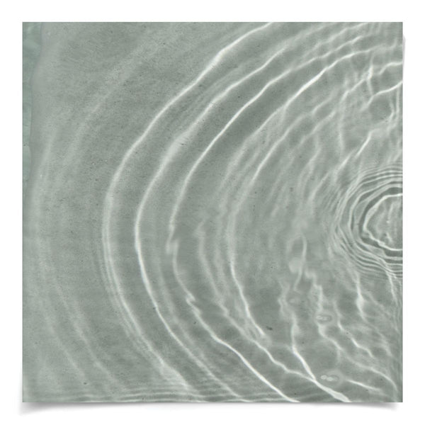 Natural Curiosities Ripple Diptych 1 Art