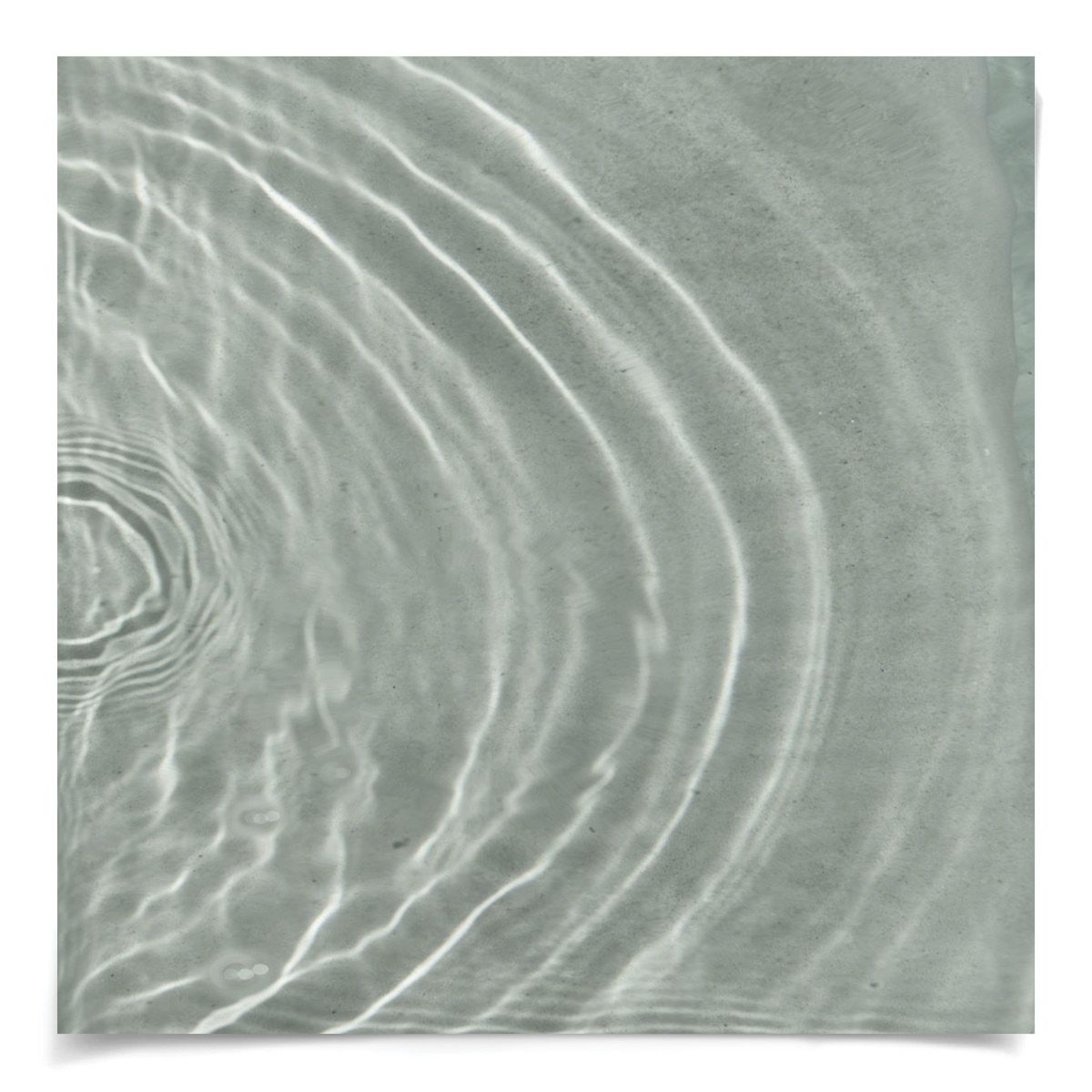 Natural Curiosities Ripple Diptych 2 Art