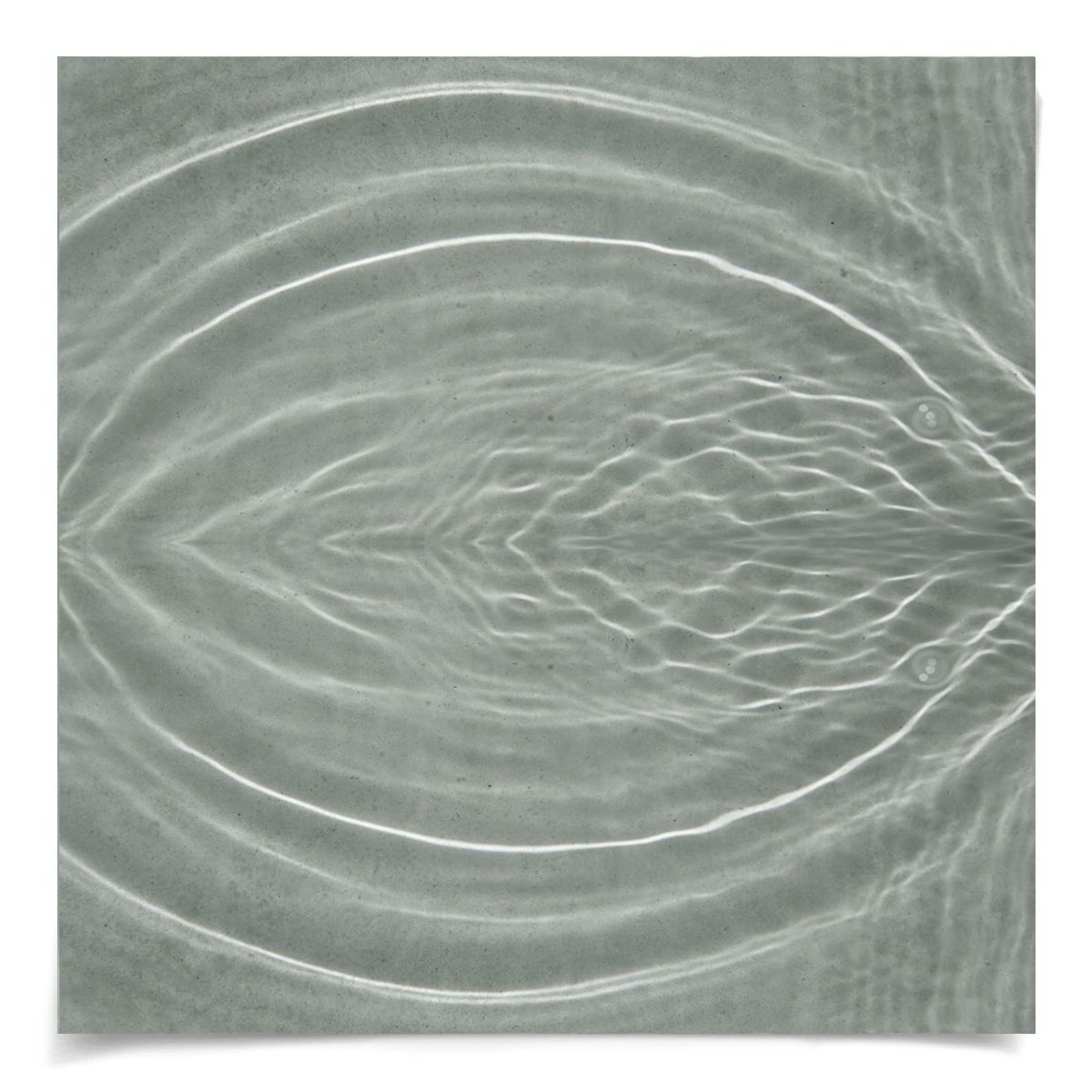 Natural Curiosities Ripple Series 3 Art