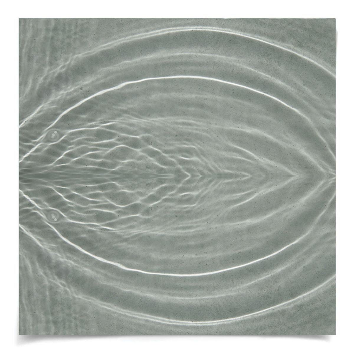 Natural Curiosities Ripple Series 3 Art, 1 & 2