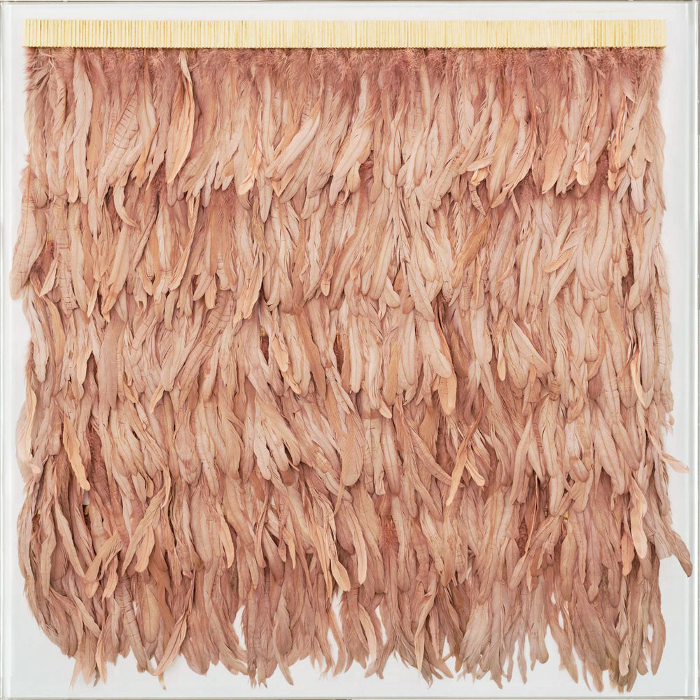 Natural Curiosities Rose Feathers Art