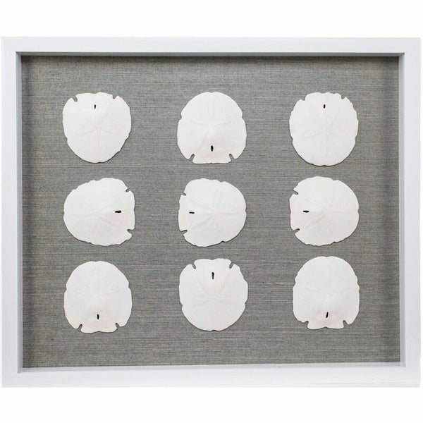 Sand Dollars Framed Graphic Art Print in Silver By Jamie Dietrich