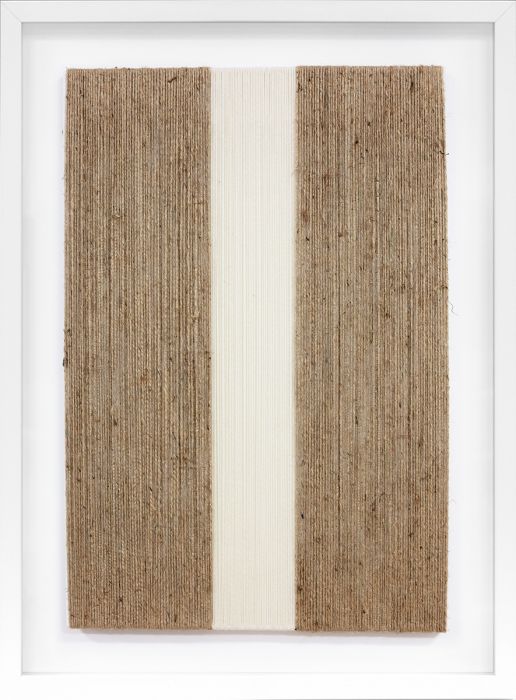 Natural Curiosities Color Shannon Gotland Collection Art