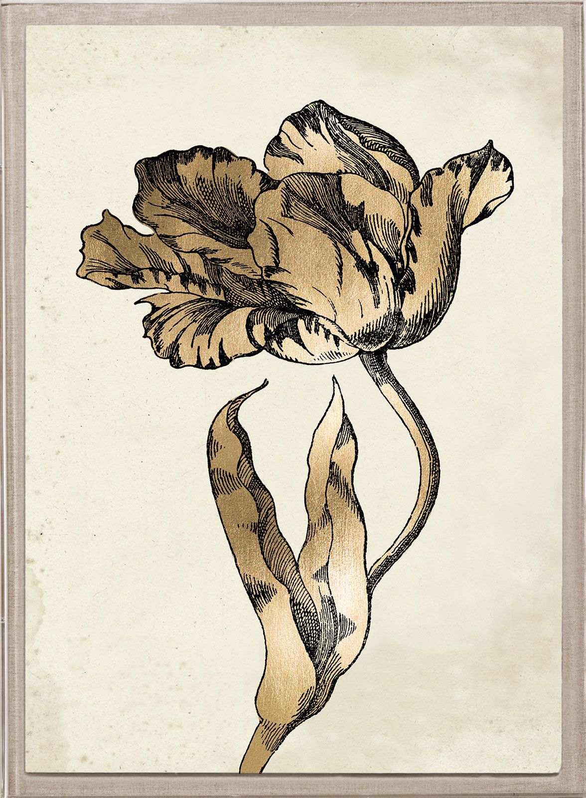 Sieger Tulips 1 Art in Gold Leaf by Natural Curiosities