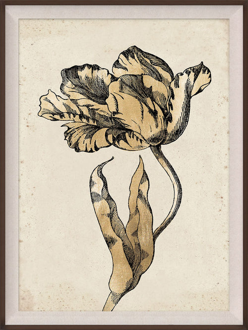 Sieger Tulips 1 Art in Gold Leaf by Natural Curiosities