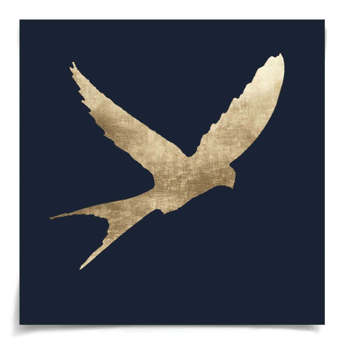 Natural Curiosities Sky Dance Art, 1