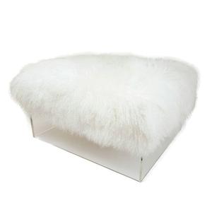 Jamie Dietrich Jake Ottoman in Tibetan Fur