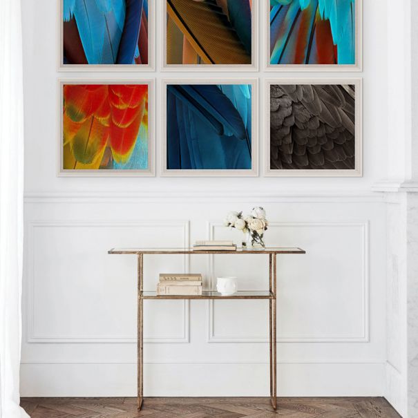 Natural Curiosities St. Barths Feathers Art- 9