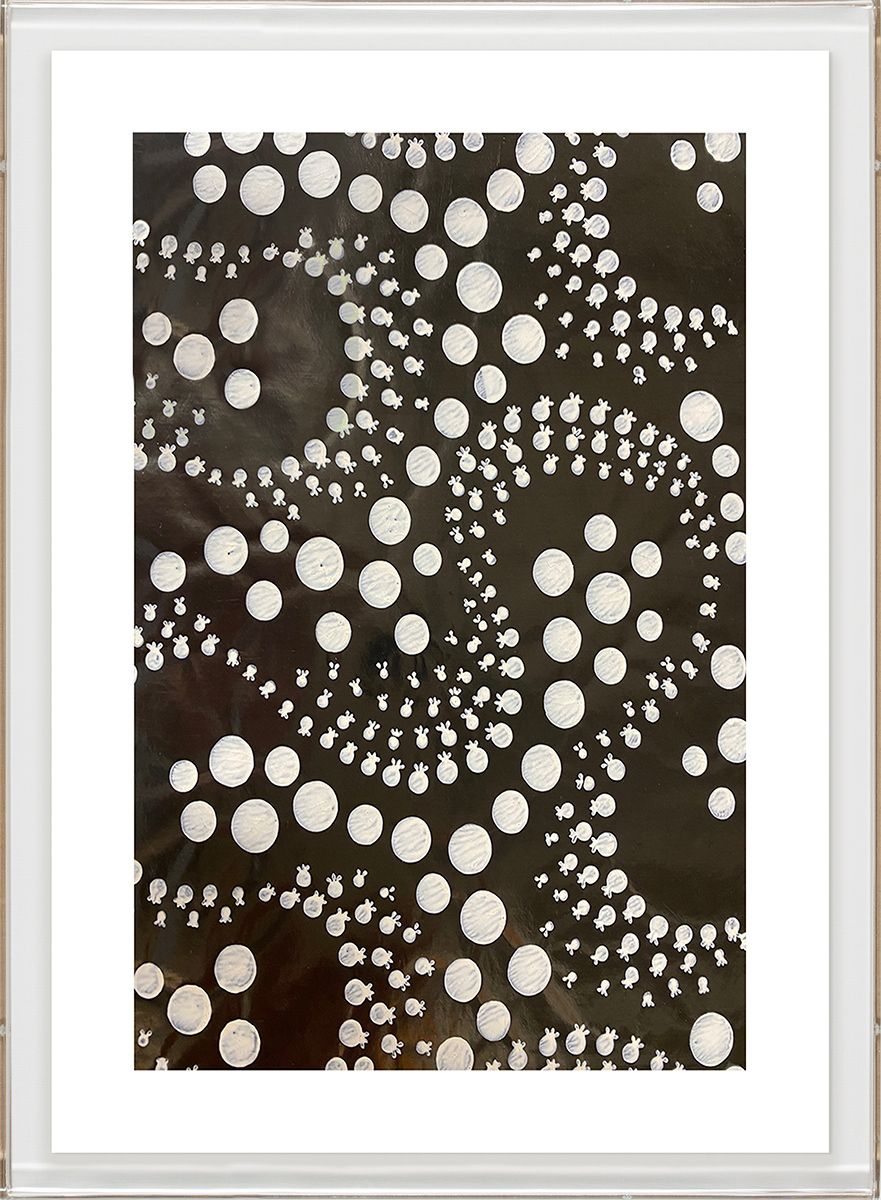 Natural Curiosities Tribal Dance Series1,1