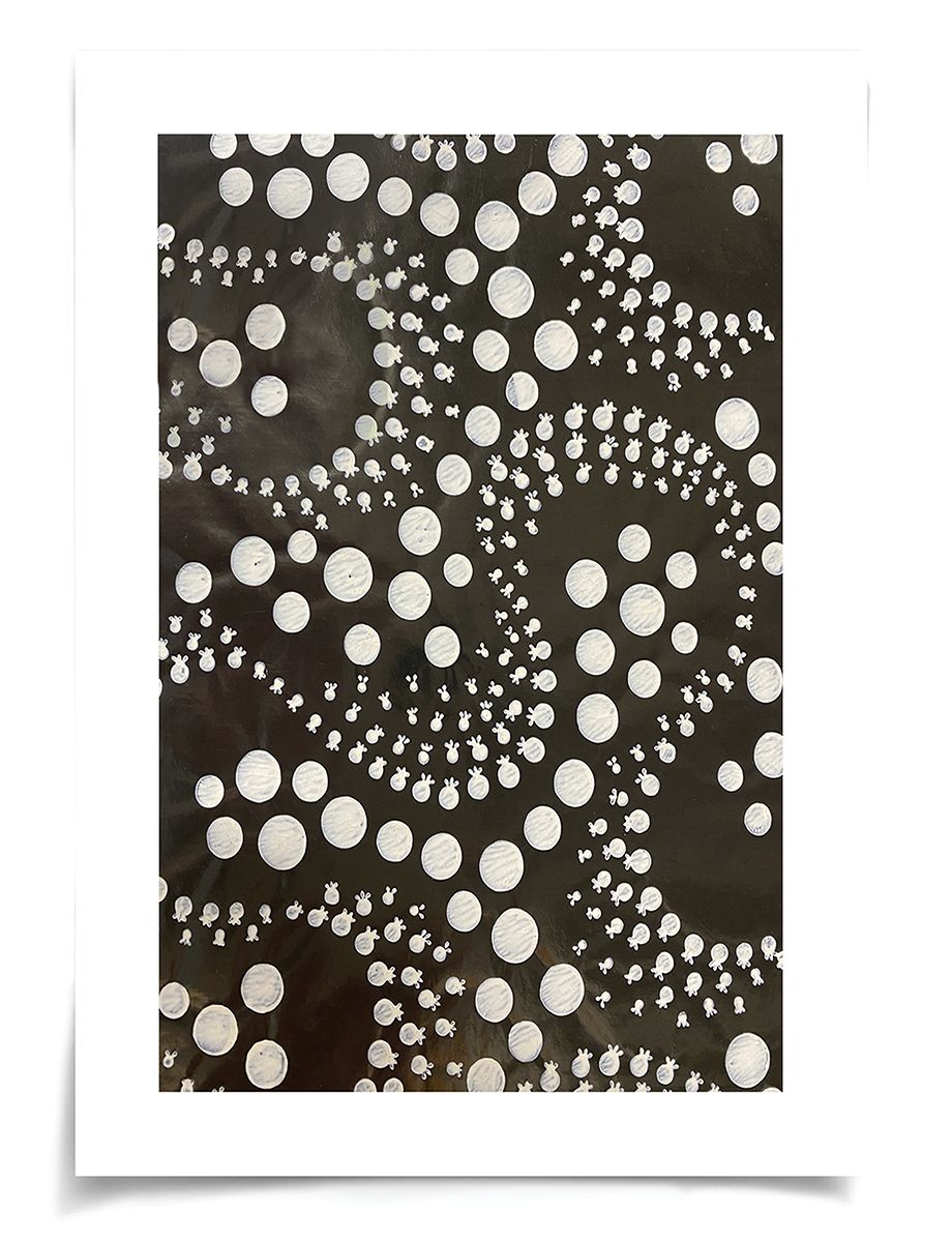 Natural Curiosities Tribal Dance Series1,1