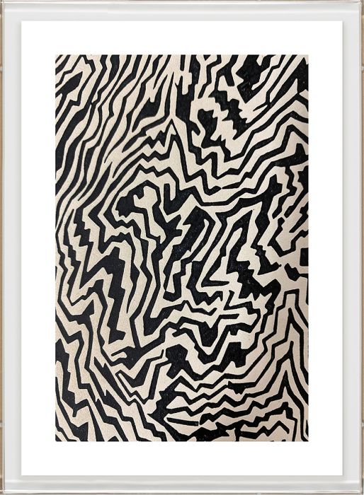 Natural Curiosities Tribal Dance Series 1, 2