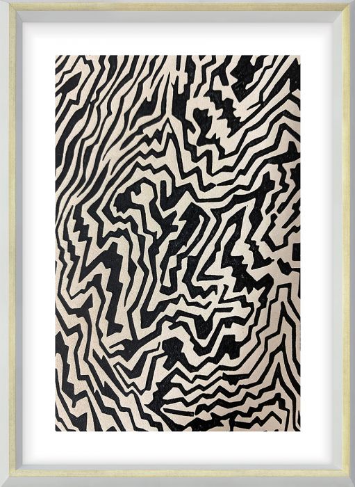 Natural Curiosities Tribal Dance Series 1, 2