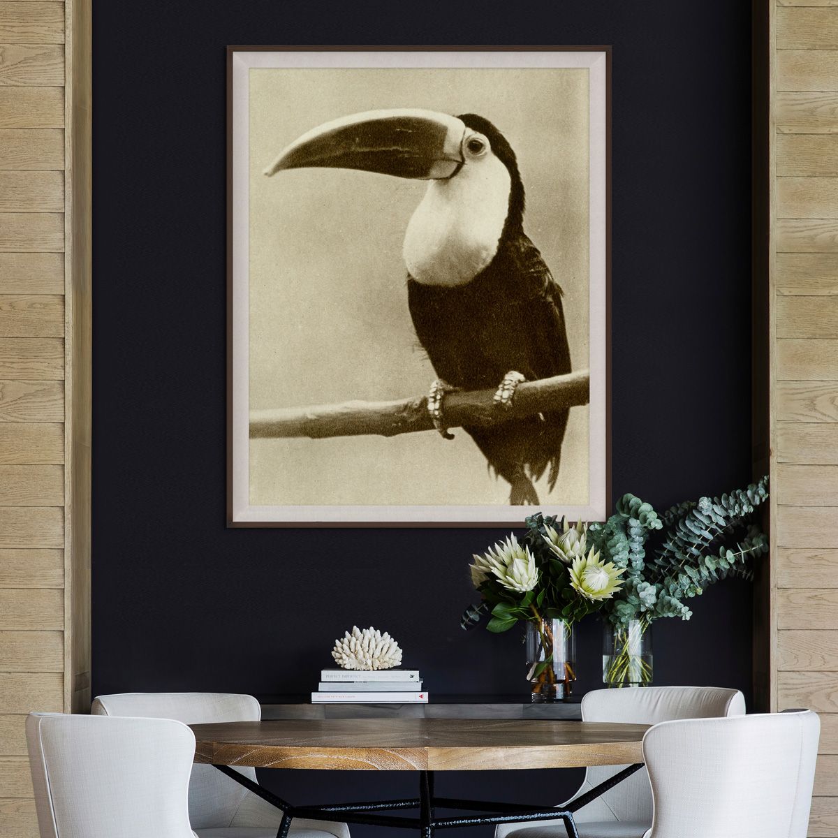 Natural Curiosities Thinking Toucan Vintage Photograph
