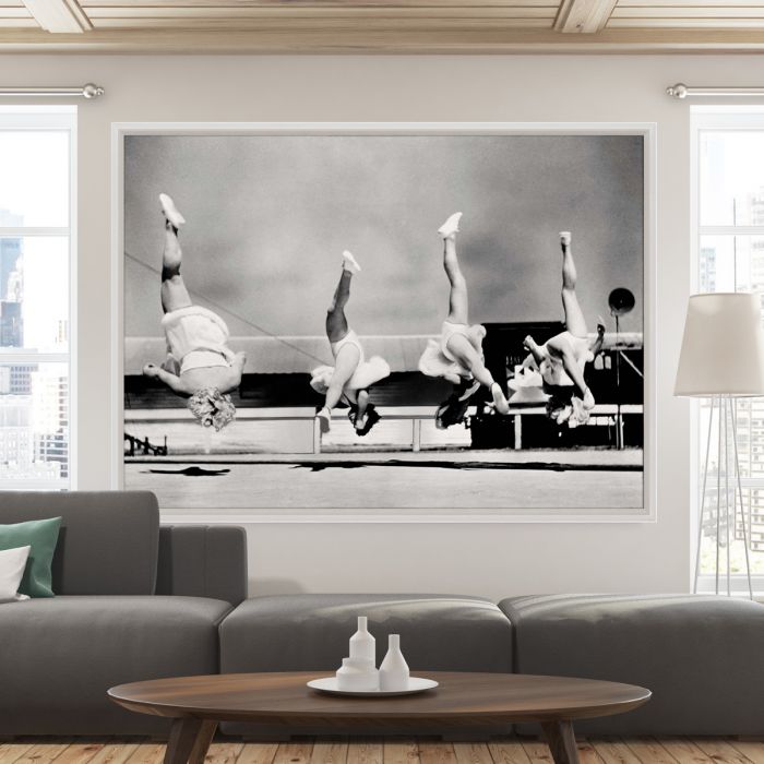 Natural Curiosities Trapeze 3 Art