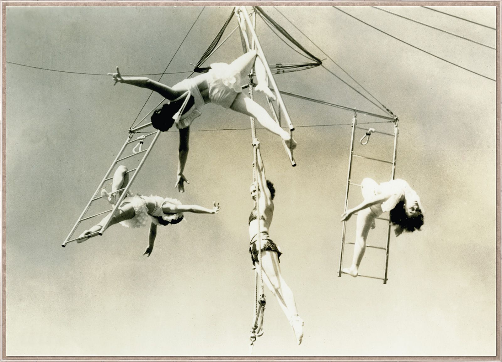 Natural Curiosities Trapeze 1
