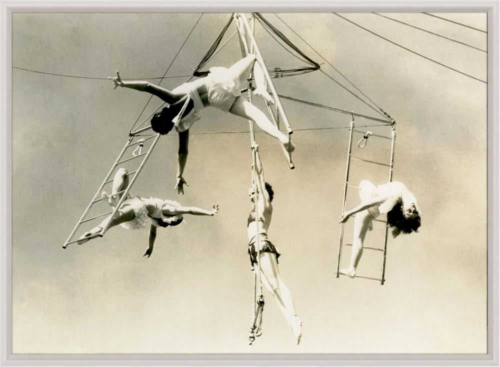 Natural Curiosities Trapeze 1