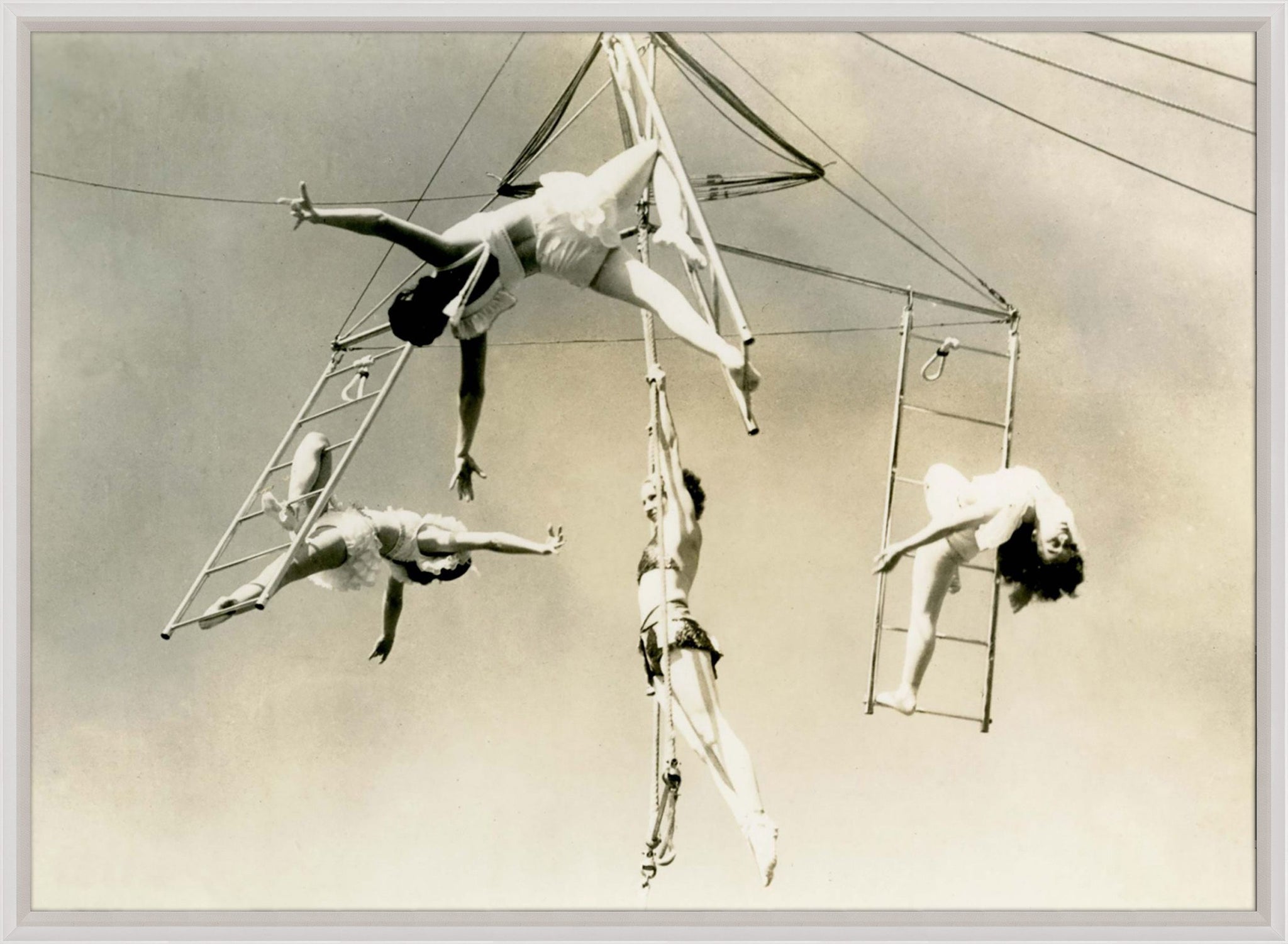 Natural Curiosities Trapeze 1