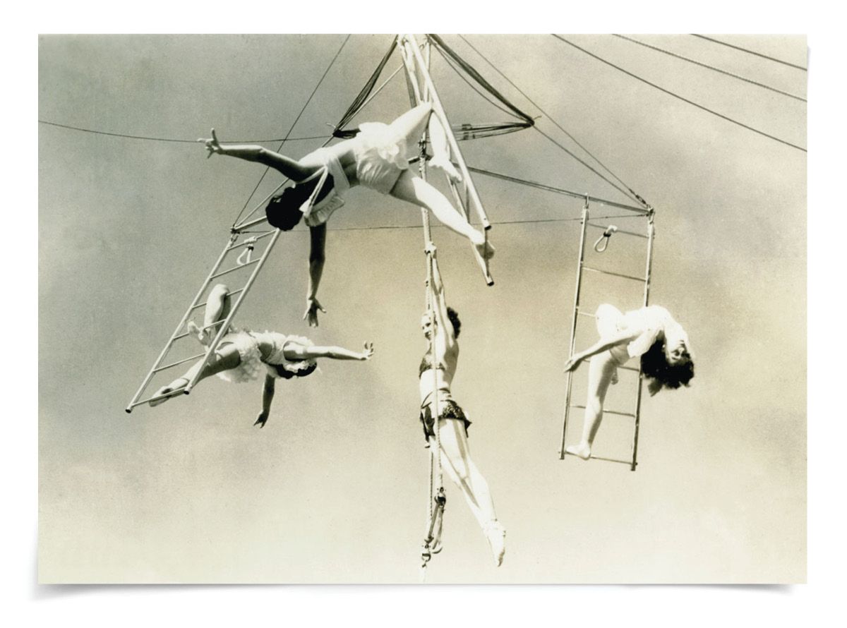 Natural Curiosities Trapeze 1