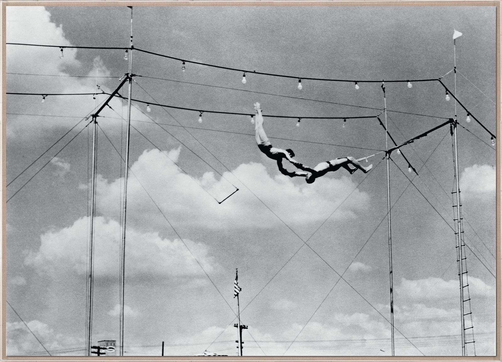 Natural Curiosities Trapeze 3 Art