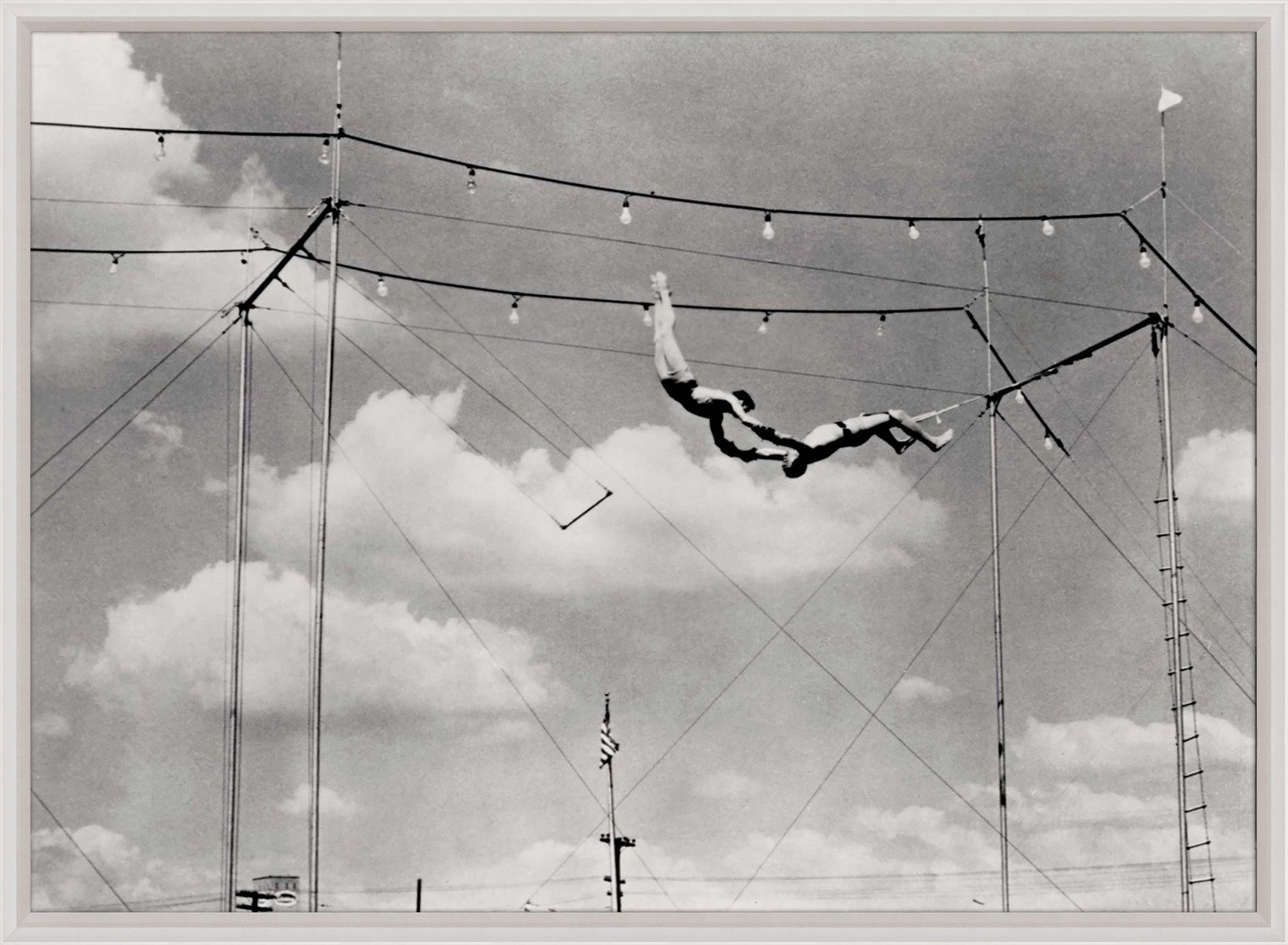 Natural Curiosities Trapeze 2