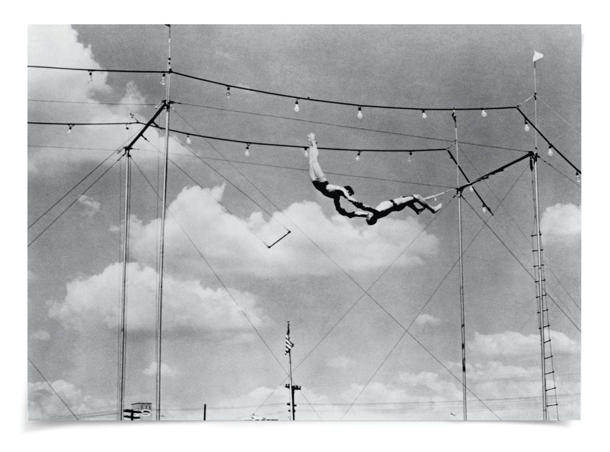 Natural Curiosities Trapeze 2