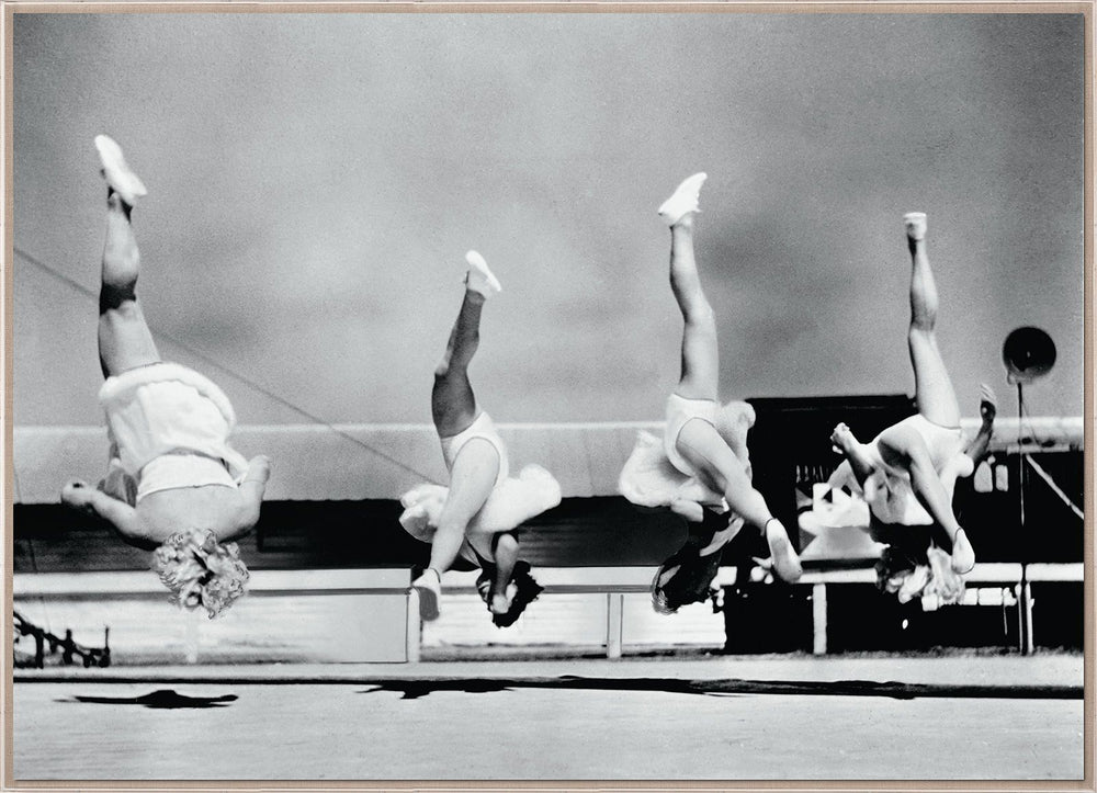 Natural Curiosities Trapeze 3 Art