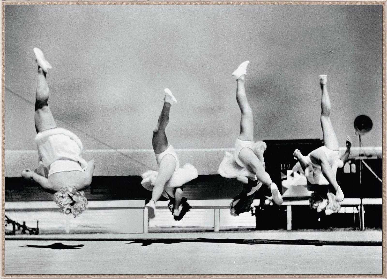 Natural Curiosities Trapeze 3 Art