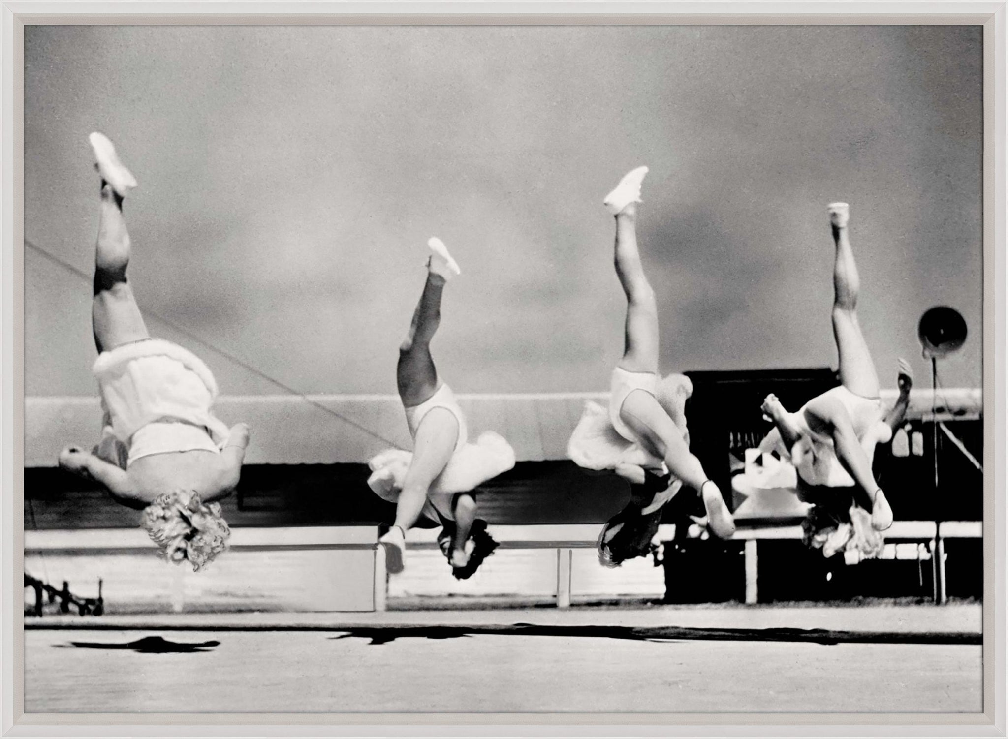 Natural Curiosities Trapeze 3 Art