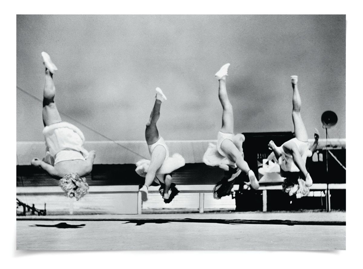 Natural Curiosities Trapeze 3 Art