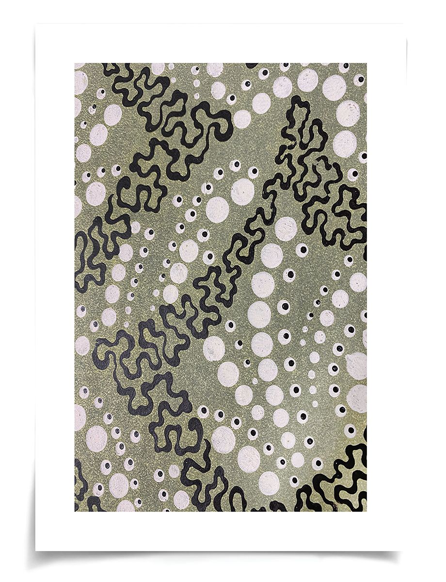 Natural Curiosities Tribal Dance Series1, 4